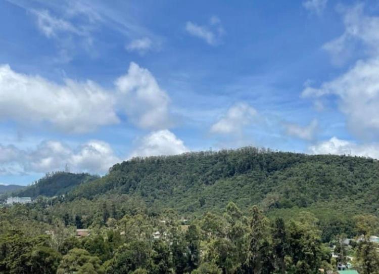 King'S Lodge Nuwara Eliya Luaran gambar